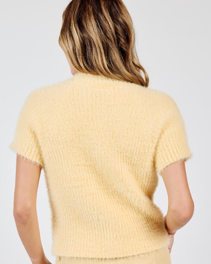 Buttery Soft Short Sleeve Sweater