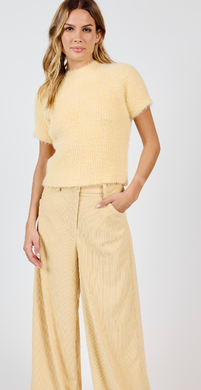 Buttery Soft Short Sleeve Sweater