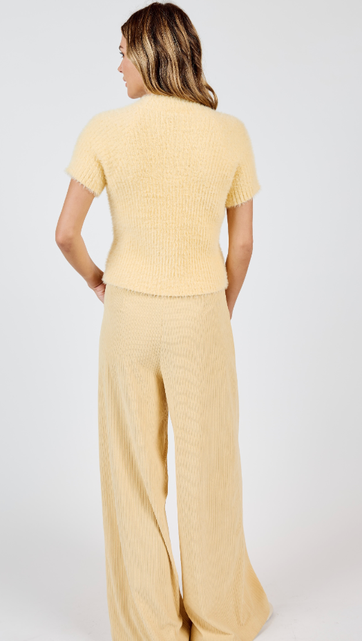 Buttery Soft Short Sleeve Sweater